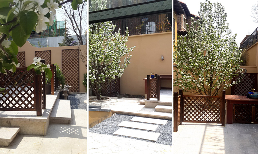 新宝GG—创立事业平台